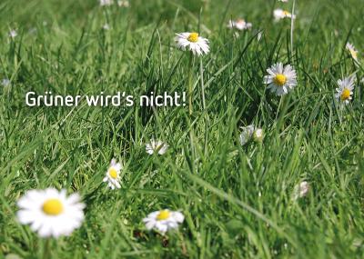 Postkarte mit Spruch: Grüner wird´s nicht!