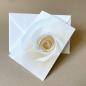 Preview: weiße Rose - edle Karte mit gefüttertem Umschlag