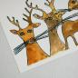 Preview: Weihnachtskarte: Rudolf und seine Freunde