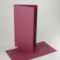 Preview: gr10x21brombeere*10