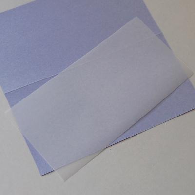 100 transparente Einlegeblätter 20,8 x 10,3 cm