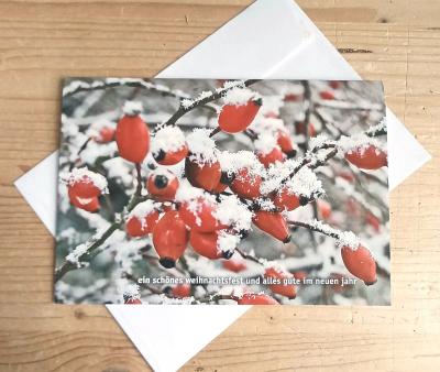 10 Weihnachtskarten mit Kuverts: Hagebuttenzweig im Schnee