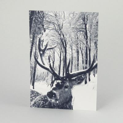 Winter-Postkarte: Rehbock im verschneiten Wald