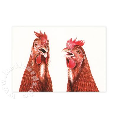 Postkarte: Hühner