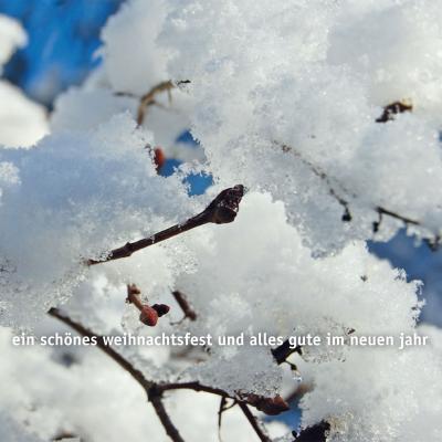 Foto-Karte für Weihnachten und Neujahr: Zweig mit Schnee