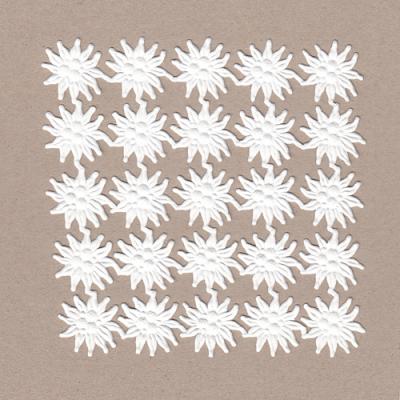 weiße Papieroblate: Edelweißblüten