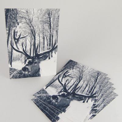 6 Winter-Postkarten: Rehbock im verschneiten Wald