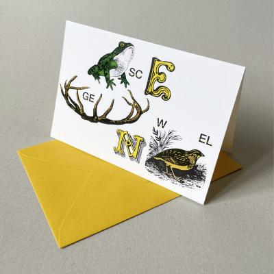 10 Weihnachtskarten mit gelben Kuverts: Rebus mit Frosch und Wachtel