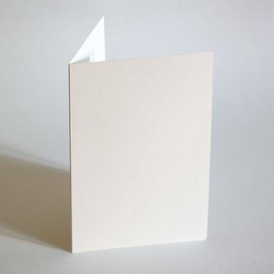 gr11x16vivus89*10