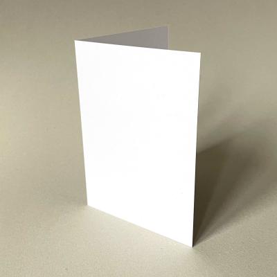 gr11x16vivus100*10