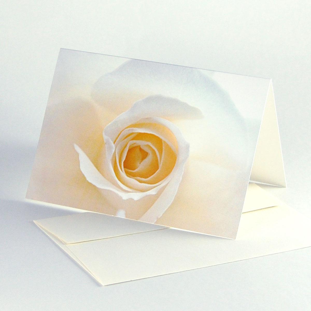 10 edle Karten mit Recyclingkuverts: weiße Rose