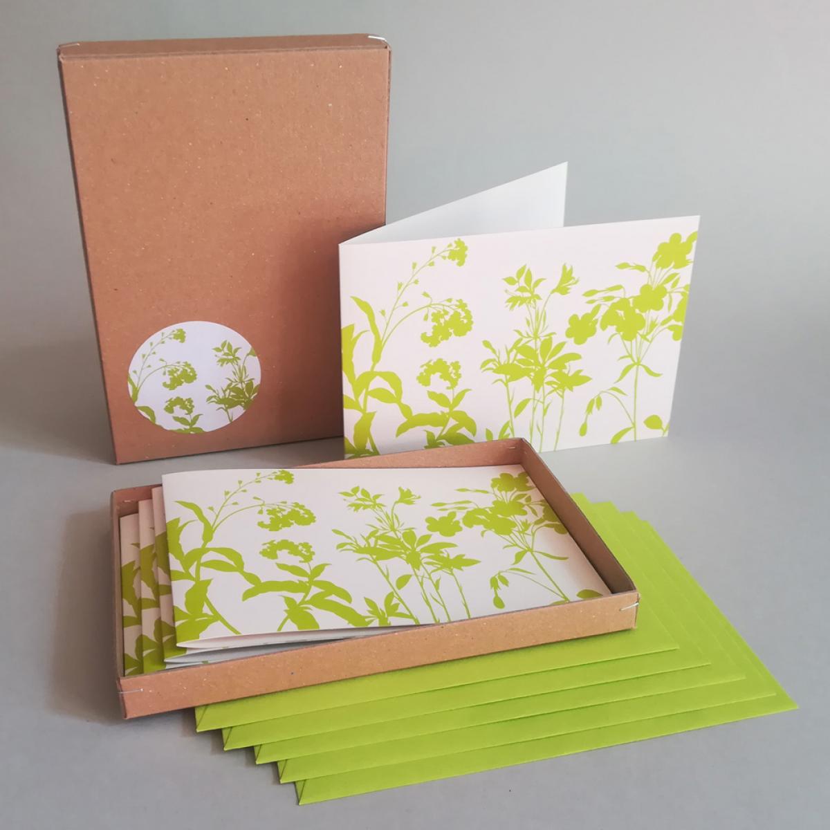 Wiesenkräuter (grüner Druck) - Geschenkbox mit fünf Recyclingkarten