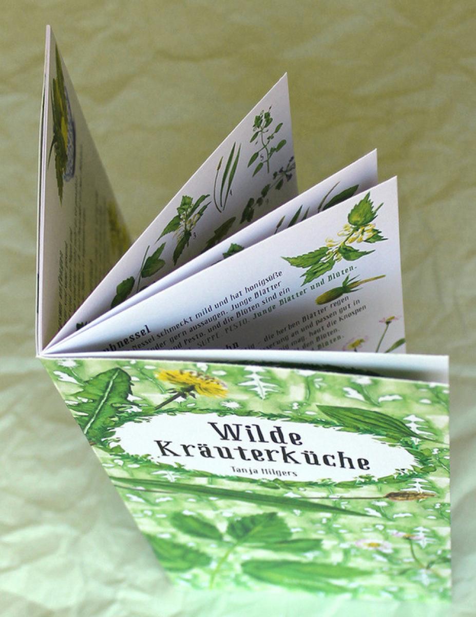 illustriertes Kochbüchlein: Wilde Kräuterküche