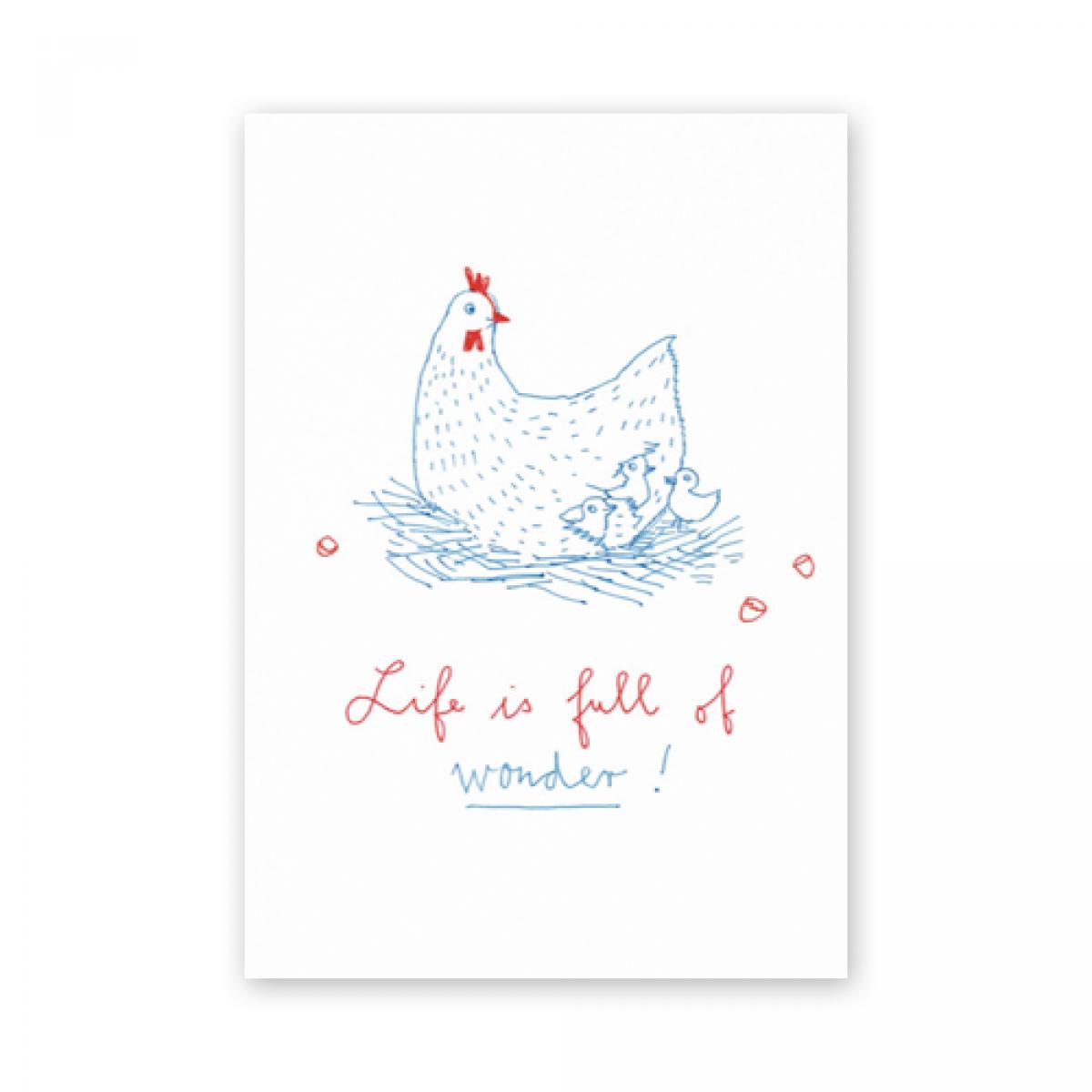 Postkarte: Life is full of wonder!