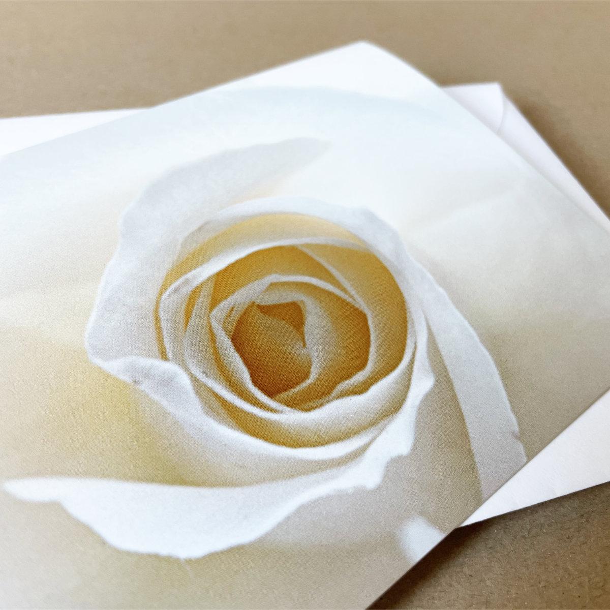 weiße Rose - edle Karte mit gefüttertem Umschlag
