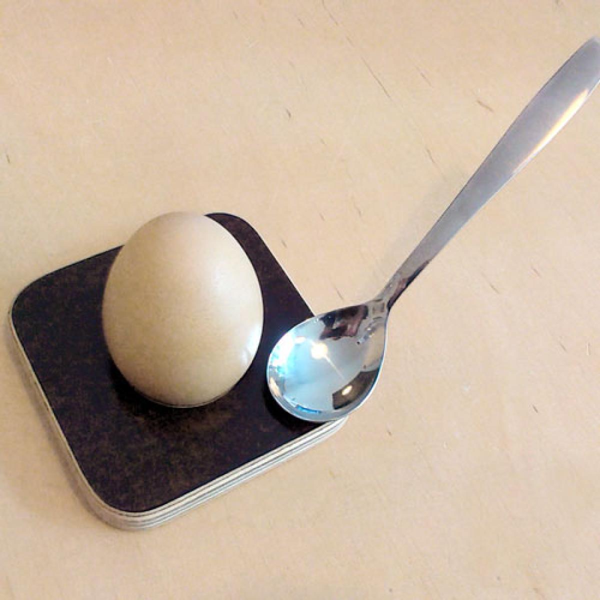 kumawi01braun