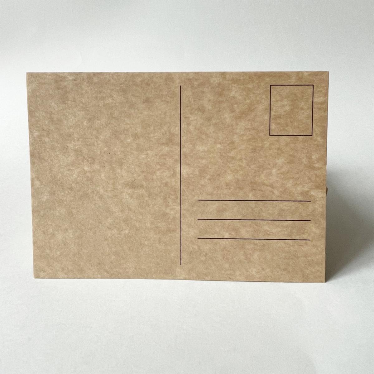 pk10x14kraft-mit*100