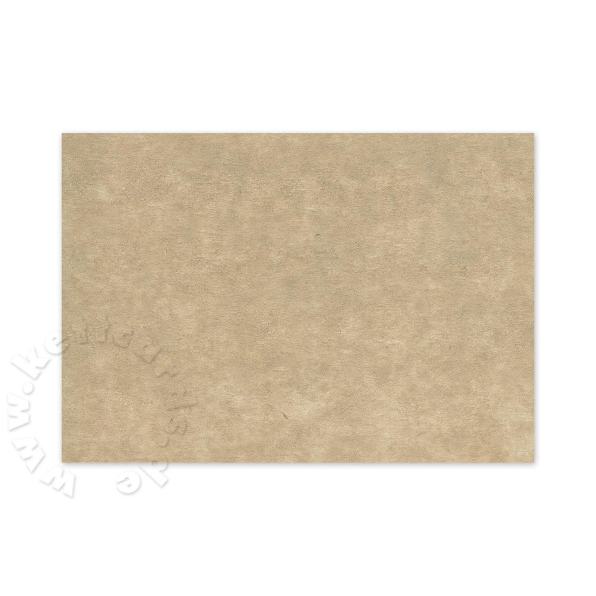 pk10x14kraft-mit*100