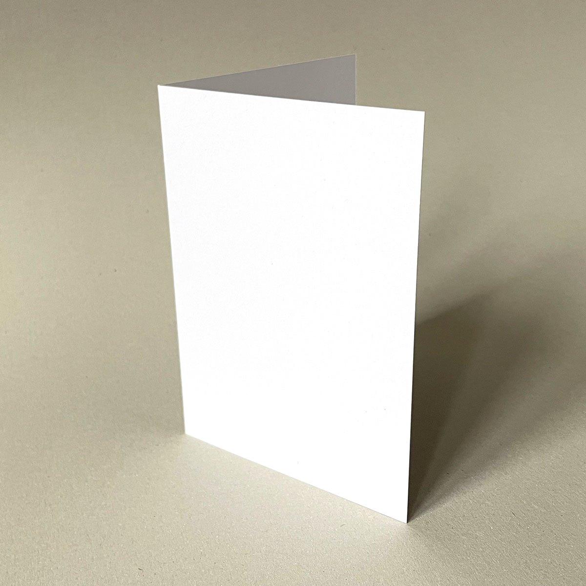 gr11x16vivus100*10